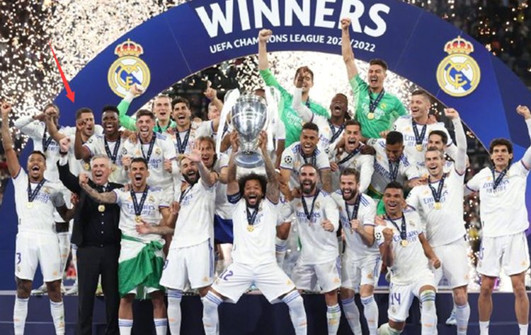 庭的视角真 庭的视角真